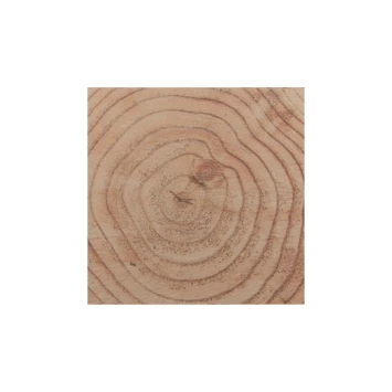 Tuinpaal Douglas Ca. 12x12 Cm, Lengte Ca. 250 Cm 8 Tuinpaal Douglas Ca. 12x12 Cm, Lengte Ca. 250 Cm - Afbeelding 6