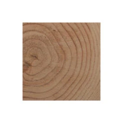 Tuinpaal Douglas Ca. 12x12 Cm, Lengte Ca. 300 Cm -Pokon Verkoopwinkel 123 1088