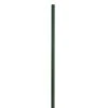 Betafence Bekaclip Paal ø 48 Mm 150 Cm Groen -Pokon Verkoopwinkel 123 1165