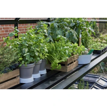 Royal Tuinkas Qube 106 Kweektafel 4 Royal Tuinkas Qube 106 Kweektafel - Afbeelding 2