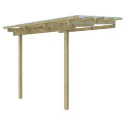 Overkapping Aanbouw 300x250 Cm