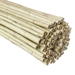 Bamboe Schutting Naturel Ca. 180x180 Cm -Pokon Verkoopwinkel 123 242