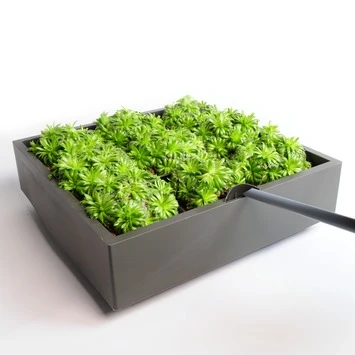 Muurhanger Verticaal Tuinieren 4 Muurhanger Verticaal Tuinieren - Afbeelding 2