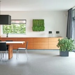 Muurhanger Verticaal Tuinieren 8 Muurhanger Verticaal Tuinieren -Pokon Verkoopwinkel 123 54