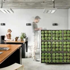 Muurhanger Verticaal Tuinieren 9 Muurhanger Verticaal Tuinieren -Pokon Verkoopwinkel 123 55