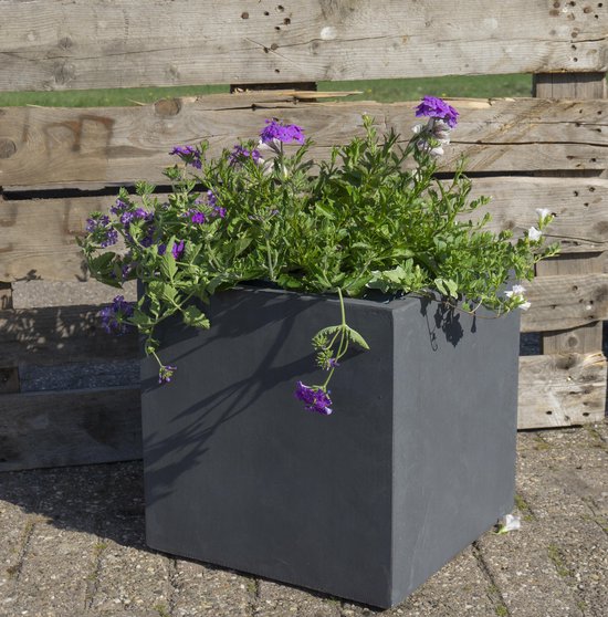 Pokon Verkoopwinkel -Pokon Verkoopwinkel